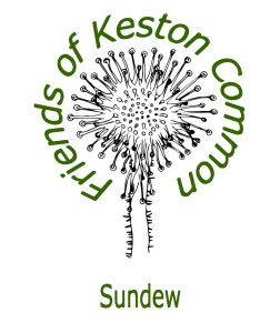 fokc sundew logo final dark green 252x300